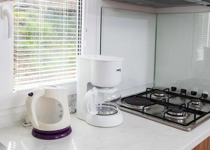 Cherry Premium Bianca Mobile Homes Zelena Laguna Кемпінг